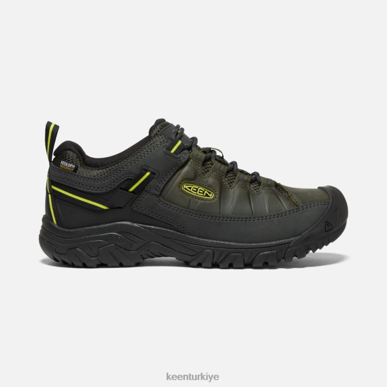Keen 8L2D2256 erkekler targhee iii su geçirmez yürüyüş ayakkabısı orman gece-akşam çuha çiçeği