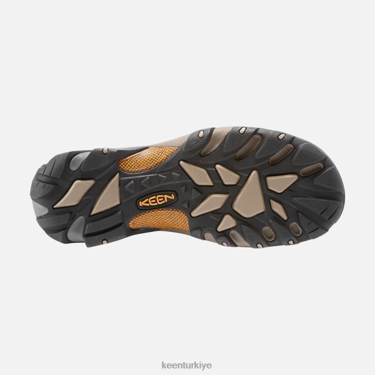 Keen 8L2D2493 erkekler targhee ii orta su geçirmez yürüyüş botu siyah zeytin-sarı