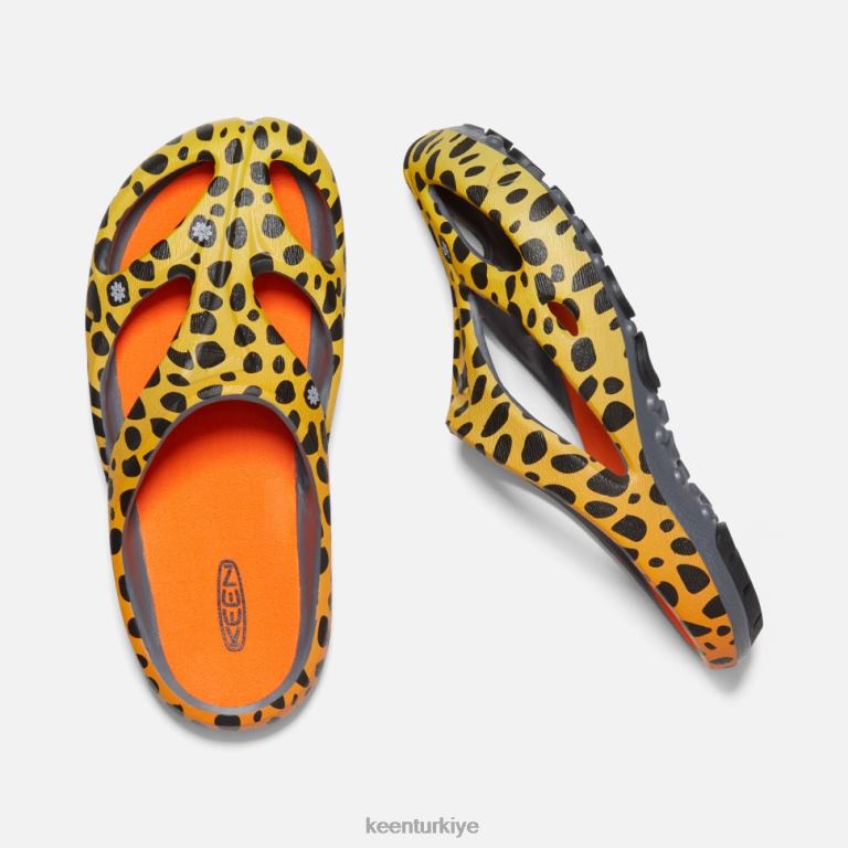 Keen 8L2D2340 kadınlar Shanti sanatları thc çita gökkuşağı