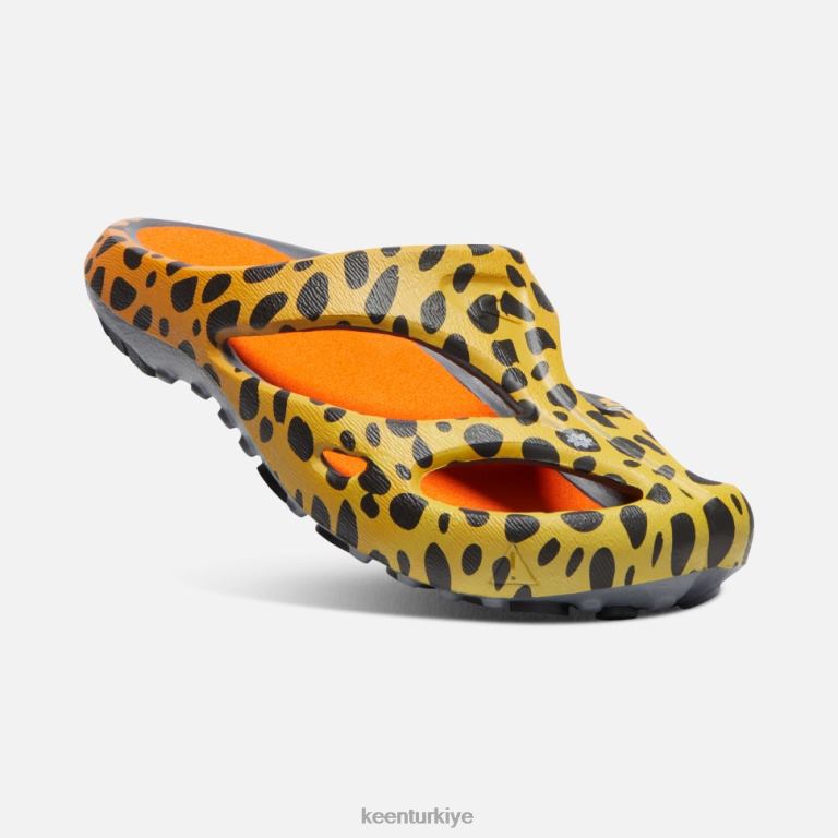Keen 8L2D2340 kadınlar Shanti sanatları thc çita gökkuşağı