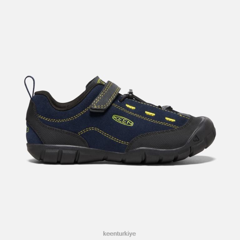 Keen 8L2D223 öne çıkan eski 'jasper ii siyah iris mıknatısı