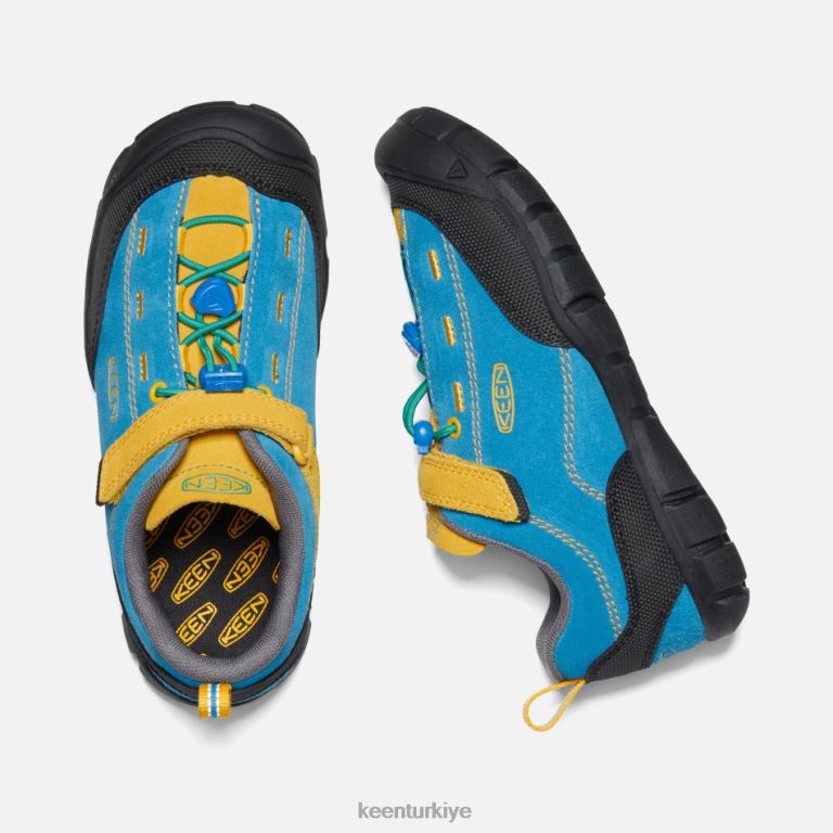 Keen 8L2D227 öne çıkan eski \'jasper ii parlak mavi-altın çubuk