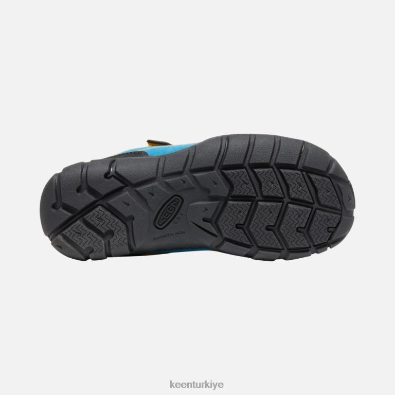 Keen 8L2D227 öne çıkan eski \'jasper ii parlak mavi-altın çubuk